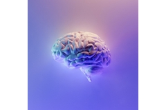 Image Brain depiction